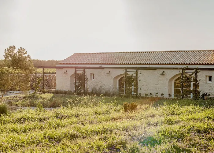 Masseria Vaccaro By Raro Villas - Self Check-In