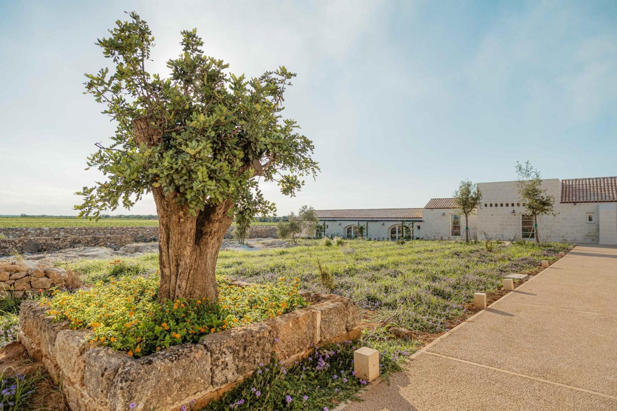 Masseria Vaccaro By Raro - Self Check-in * Brindisi