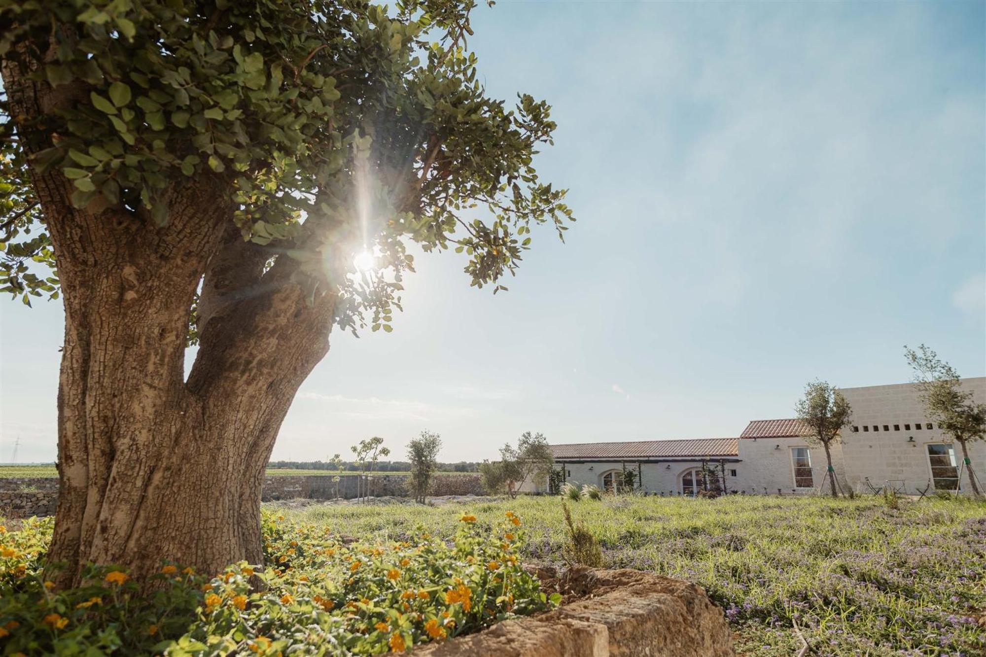 Hotel Masseria Vaccaro By Raro - Self Check-in Brindisi
