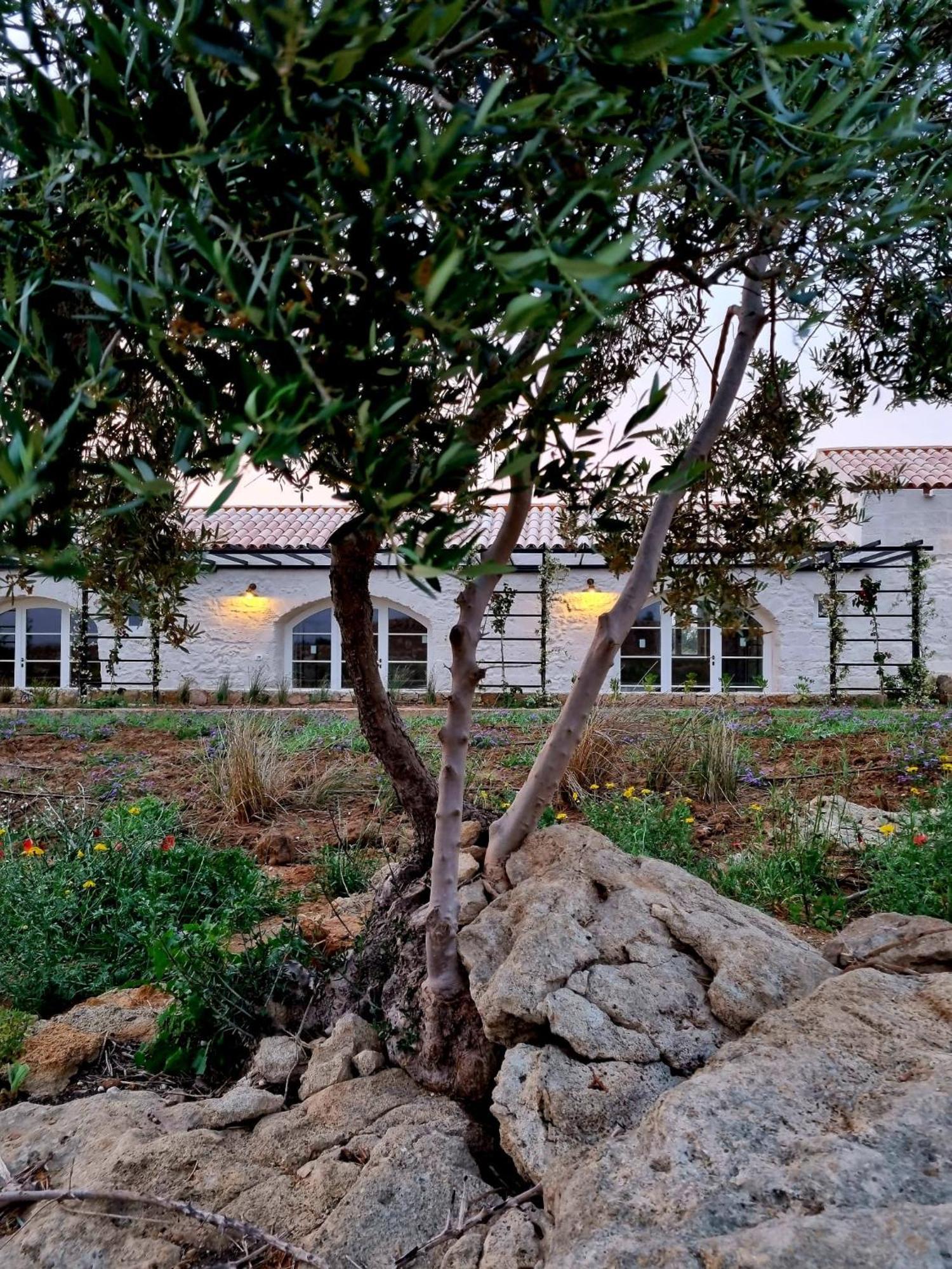 Hotel Masseria Vaccaro By Raro - Self Check-in